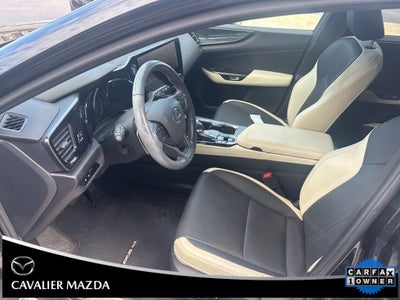 2023 Lexus NX 350 Premium