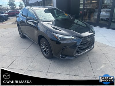 2023 Lexus NX 350 Premium