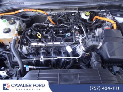 2021 Ford Escape Hybrid SEL