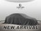 2020 Ford Expedition Max Platinum