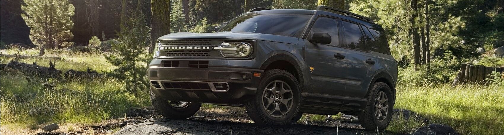 Ford Bronco in Forest Snipped